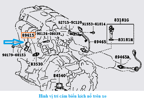 vị trí cảm biến kích nổ
